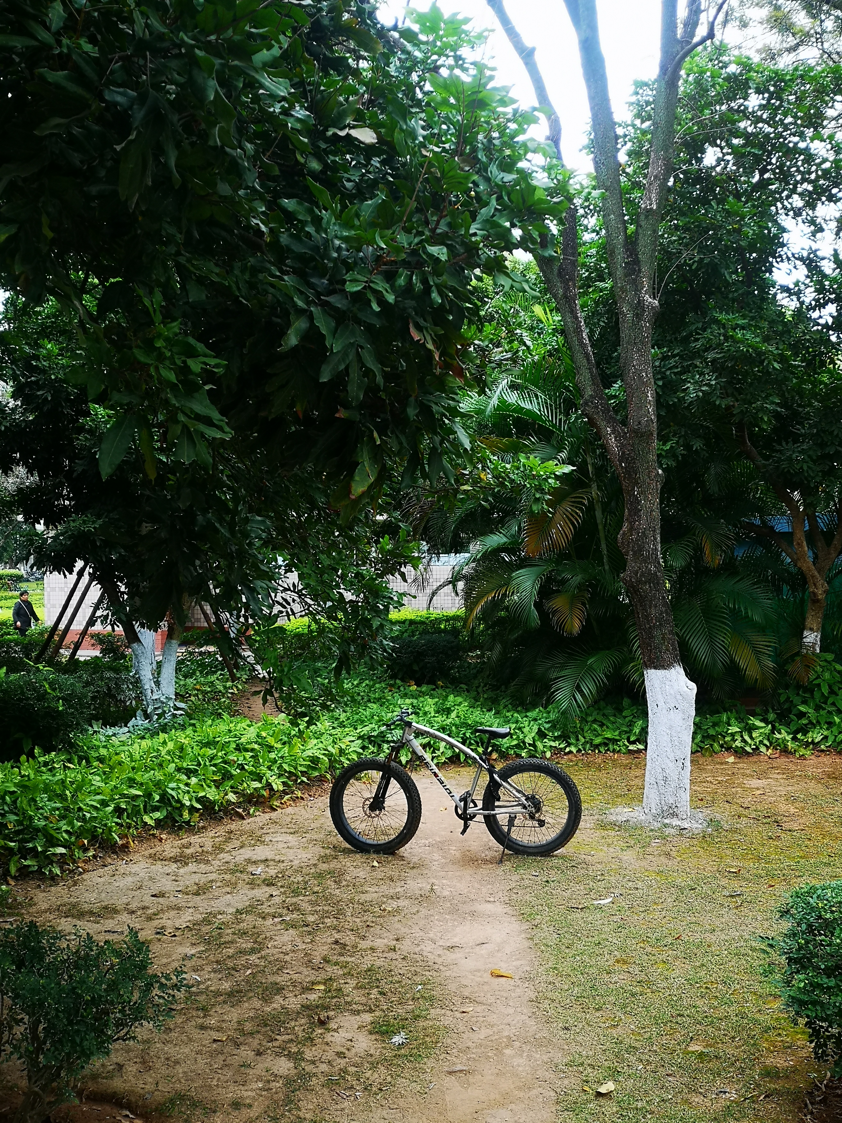 厦门游轮自助游价格多少,厦门到贵州自助游攻略