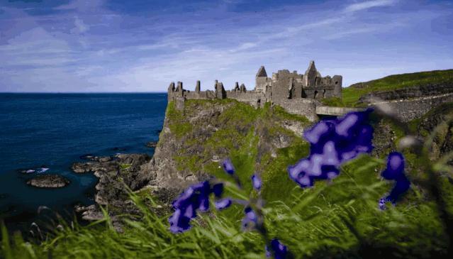 世界接吻日,世界接吻日图片