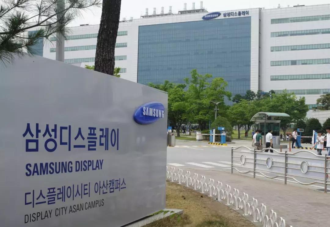 从捡垃圾到世界冠军完整,京东方发展史全过程