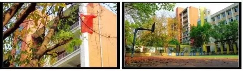 沙坪坝最好的中学校,沙坪坝区初中学校排名