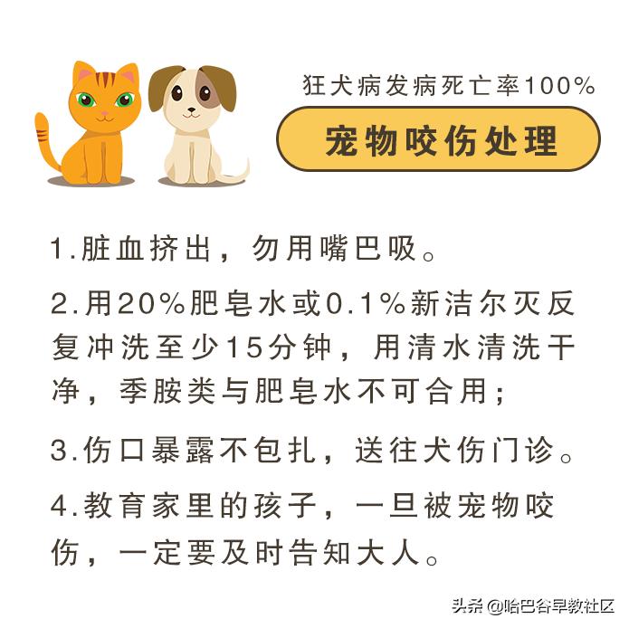 宠物烫伤怎么处理多喝水,宠物咬伤烫伤