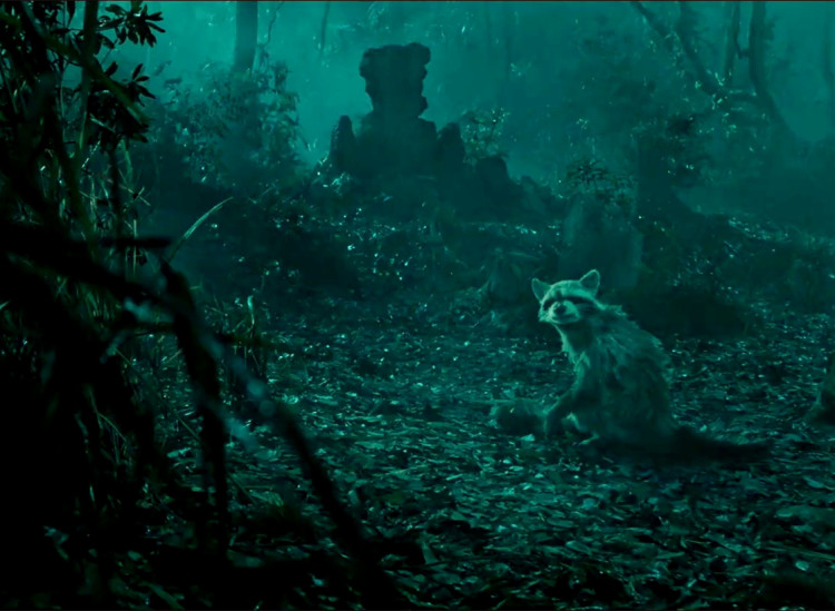 怒晴湘西探险之路,怒晴湘西画面色调像电影