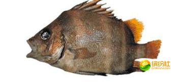 舟山4月份海鲜攻略,舟山海鲜代加工攻略