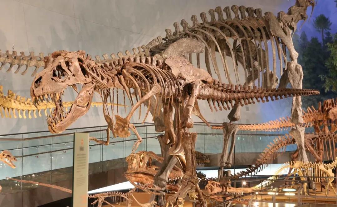 日本最宜居的城市,2020年日本最想居住城市top10