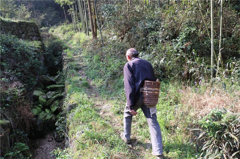 诸暨方言和其他方言比较,诸暨话方言美女