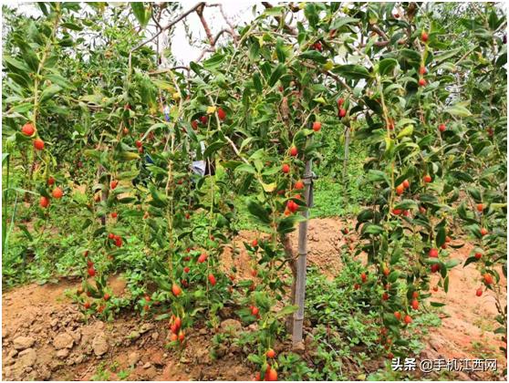 汇仁品牌产品直供,汇仁工厂供应链