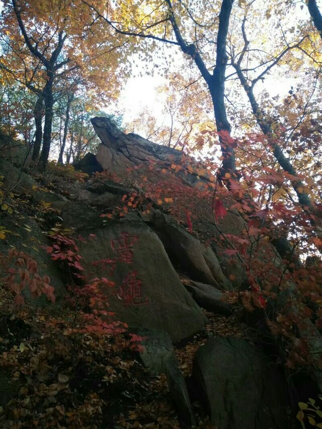 猴石国家森林公园的最佳旅游季节,猴石国家森林公园航拍