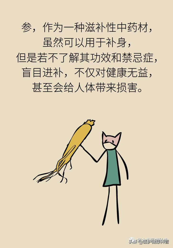 人参红参西洋参哪个提高免疫力好,人参党参红参西洋参有什么区别