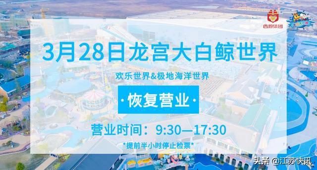 龙宫大白鲸早上几点开门,大白鲸龙宫最新消息