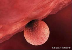 子宫内膜的正确收集方法,子宫是生命之源