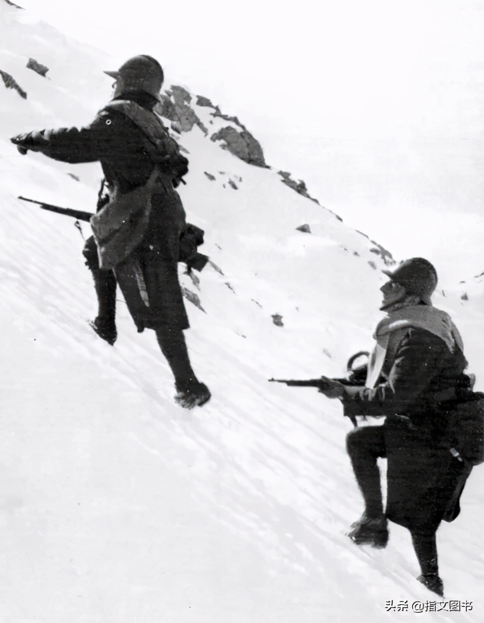 菜鸡互啄的对决,菜鸡互啄各种结局