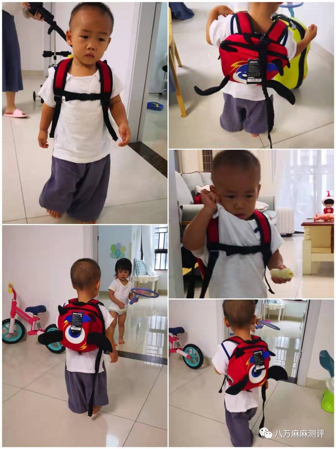 小书包测评专题|这里是防走失包的大草原（上）