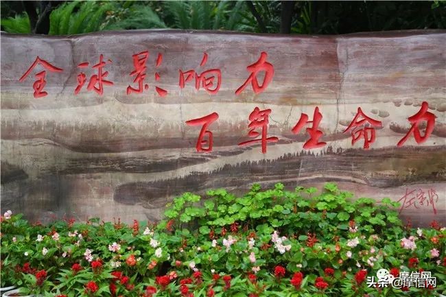 宗申智造发动机,一台船用发电机的诞生