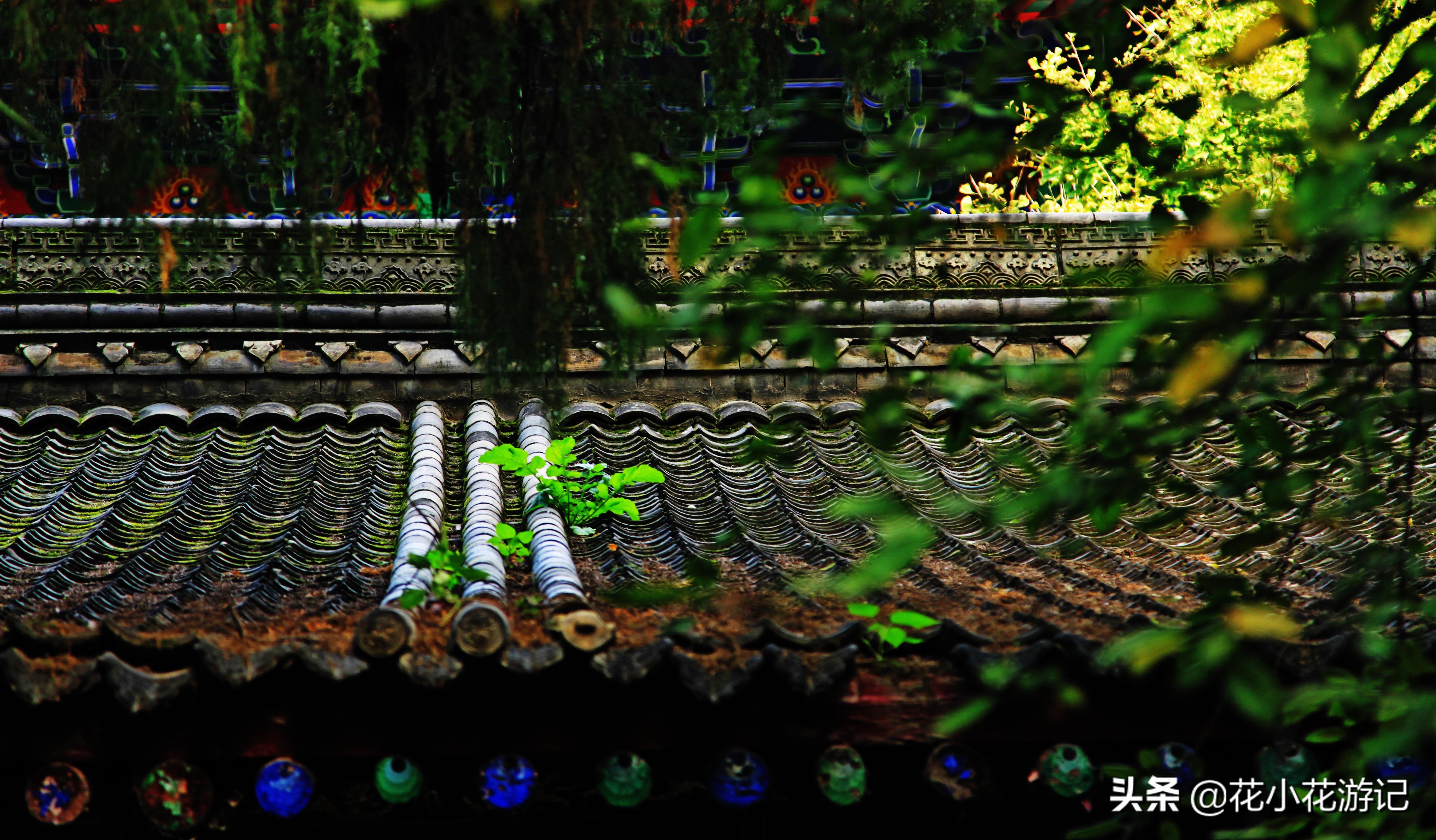 澶у叴鍠勫鐨堜緷娉曚細,澶у叴鍠勫澶ч泟瀹濇绁堢璇电粡