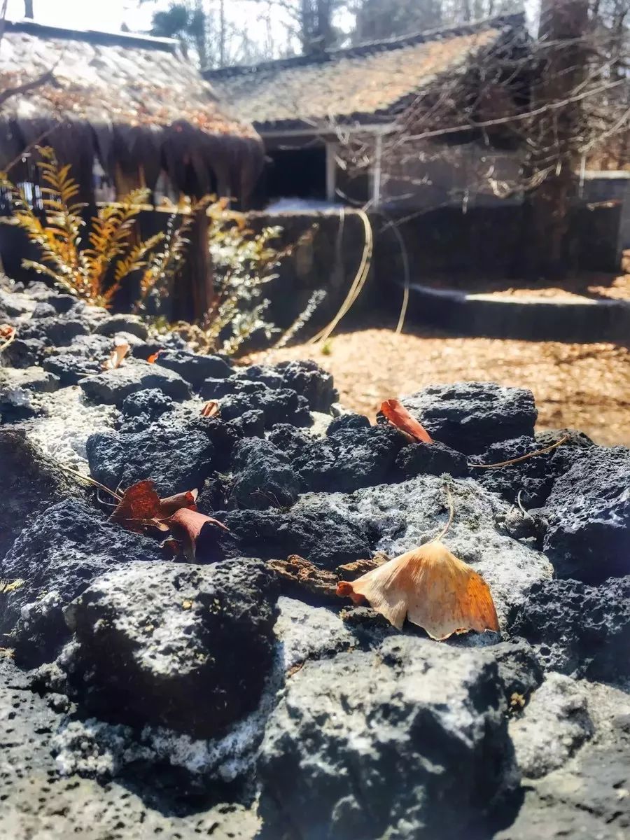 很值得去小住几日的地方,一个人适合去哪里旅行两天一晚