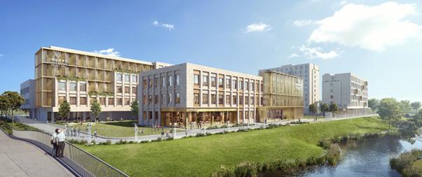 金茂教育,金茂学校最新的情况