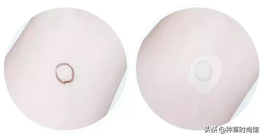 测评500ml粉底液,测评500块钱粉底液