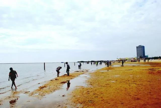 上海的大海河流,上海的大海边