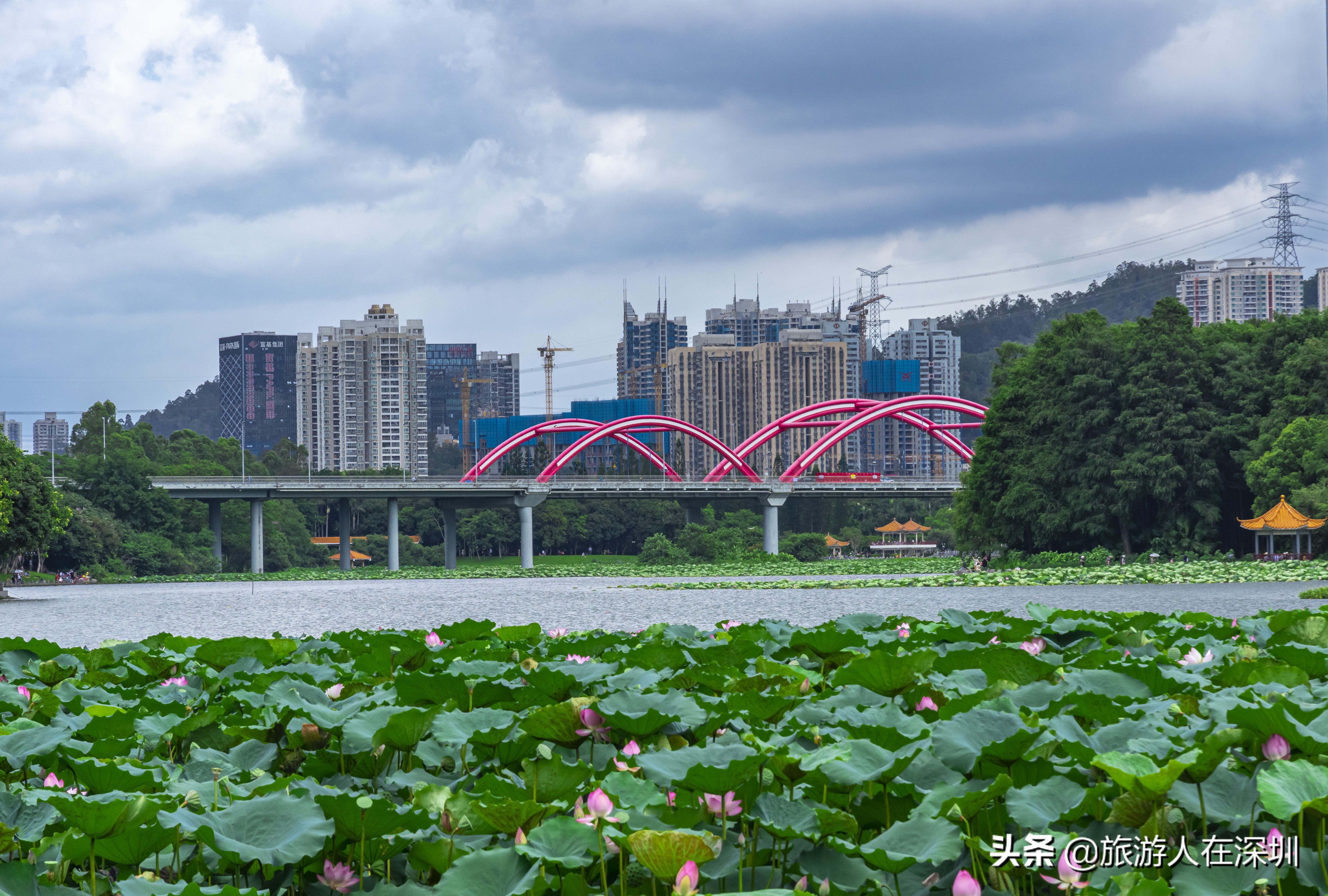 实拍深圳洪湖公园,深圳洪湖公园游玩攻略图