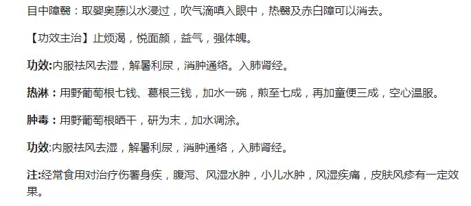 农村的野果子有哪些,农村的野果子真好吃