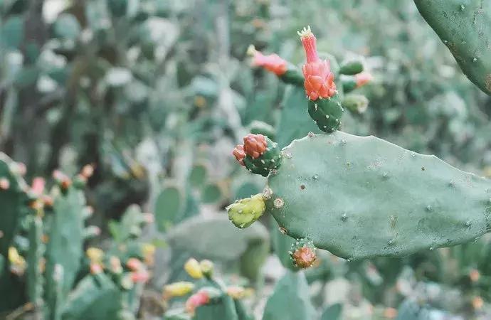 坐不住了！6月机票贼便宜！长春出发，最低…