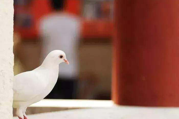 人死后去阴间的全过程，看醒了很多人