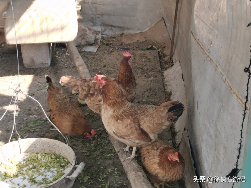 足球小镇有什么项目,足球小镇区游玩攻略