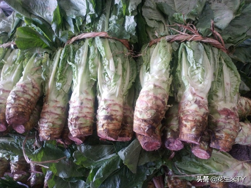 10月8日南宁海吉星蔬菜批发价格表,南宁海吉星水果批发每天行情