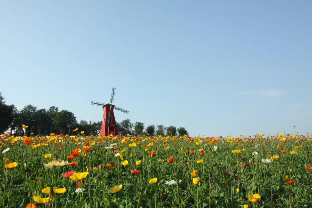 乡村旅游精品线路视频,2020年全国精品乡村旅游路线