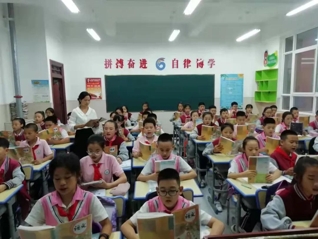 双减课后孩子学什么,双减教育下的校园生活