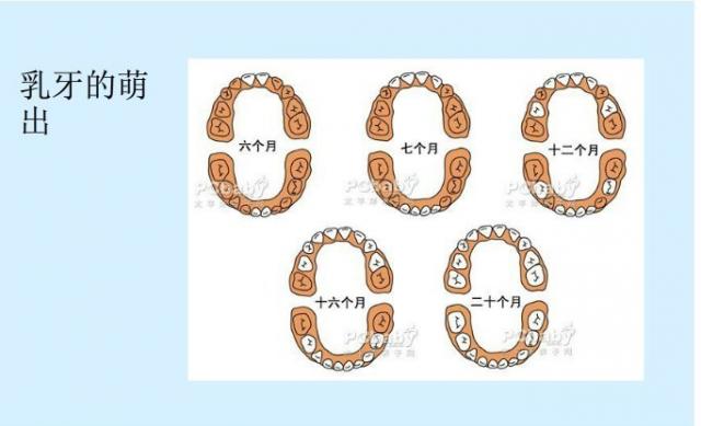 儿童牙齿口腔保健常识,家长们看过来儿童牙齿如何保护