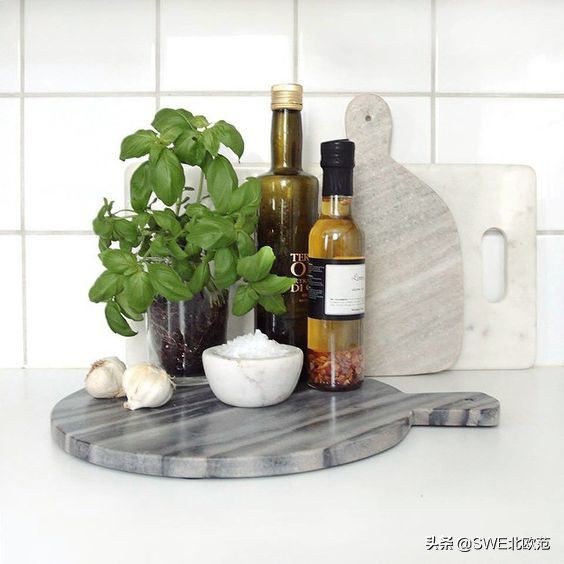 好养的北欧风大型绿植 (12款北欧风格绿植轻松打造ins风)