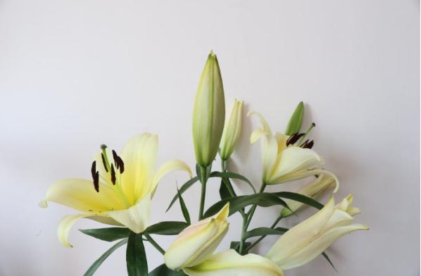 今生有约同心印爱海新花并蒂开—管浩男、曹丛新婚诗词23首