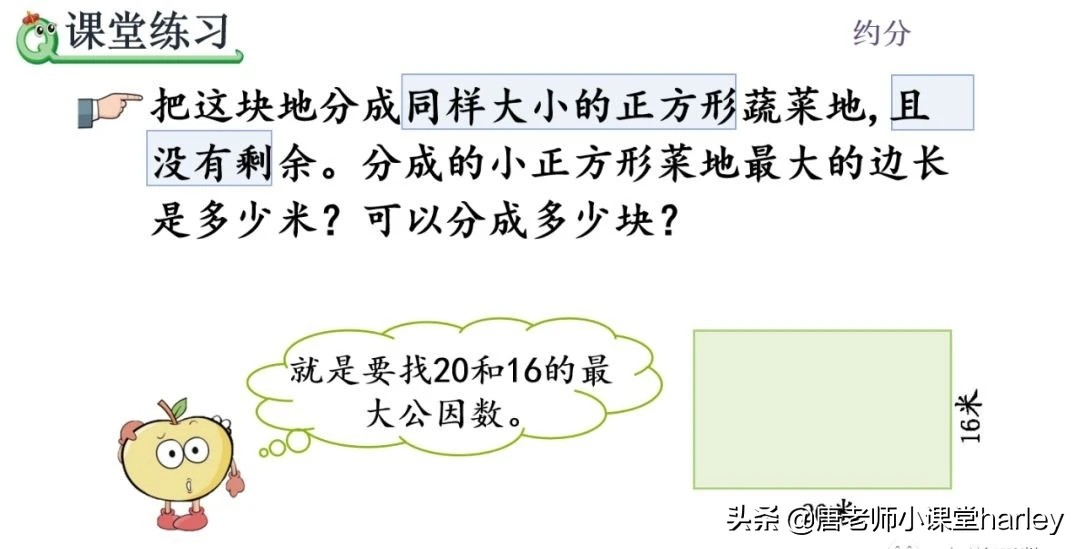 五年级数学求最大公因数知识点,公因数与最大公因数五年级