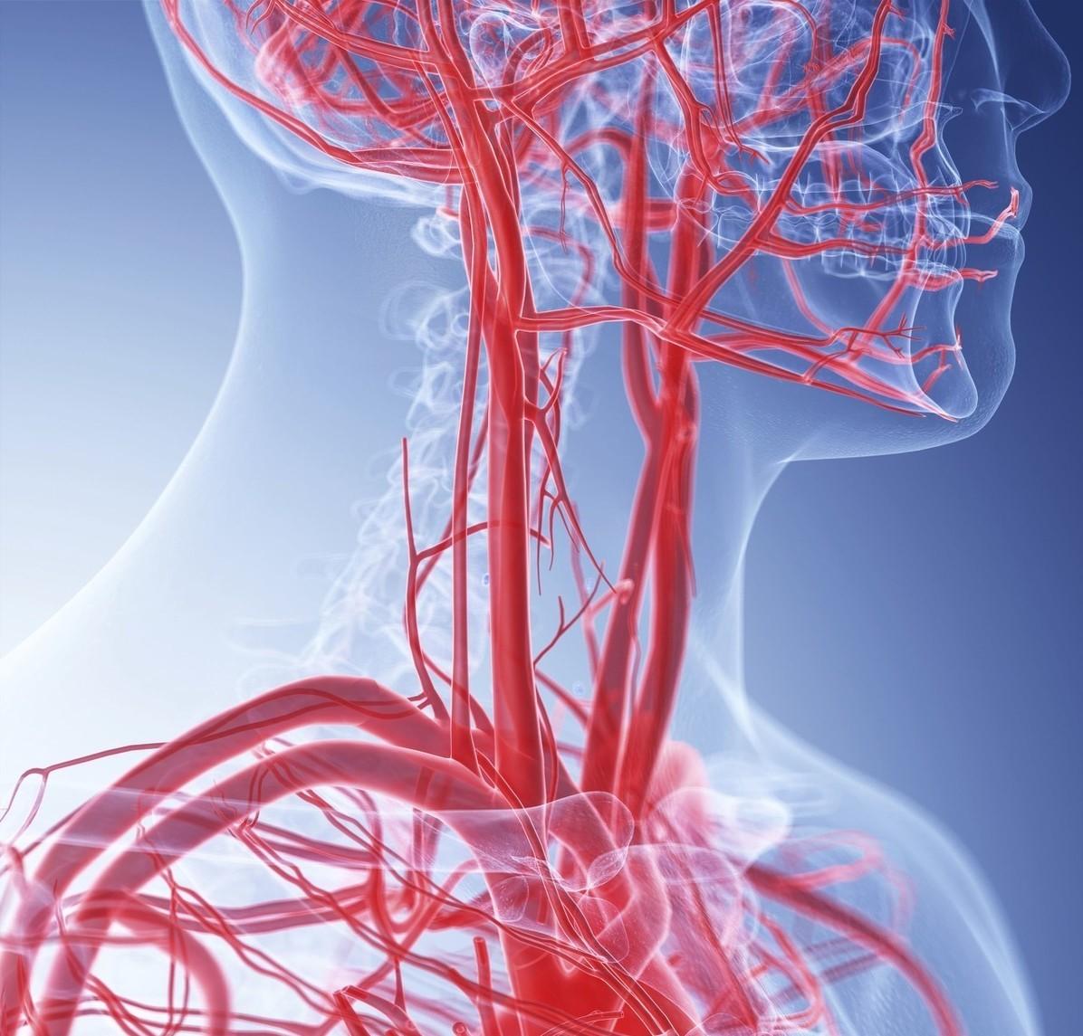 高压130低压100怎样快速降下来,高压130低压100正常吗但没症状