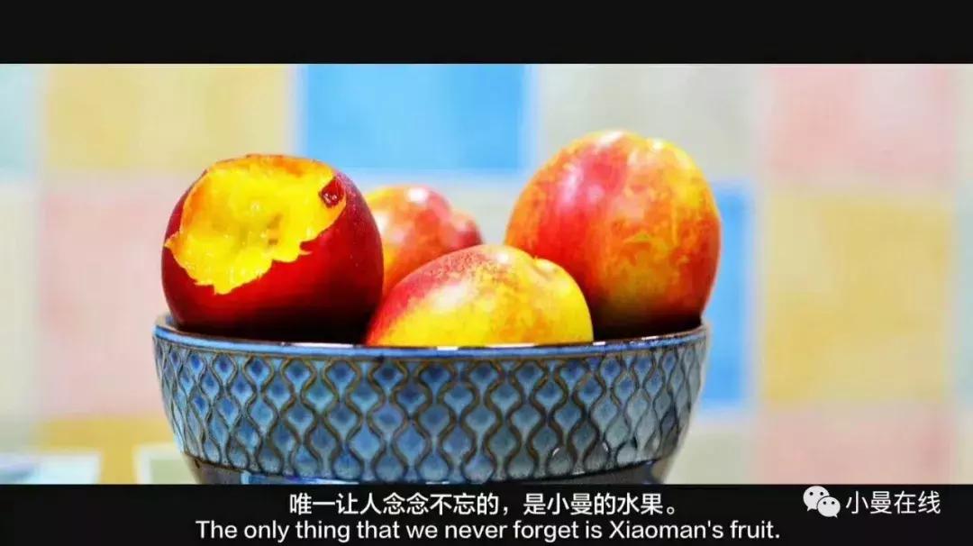 电商水果平台商业计划书,卖水果干的创业计划书模板