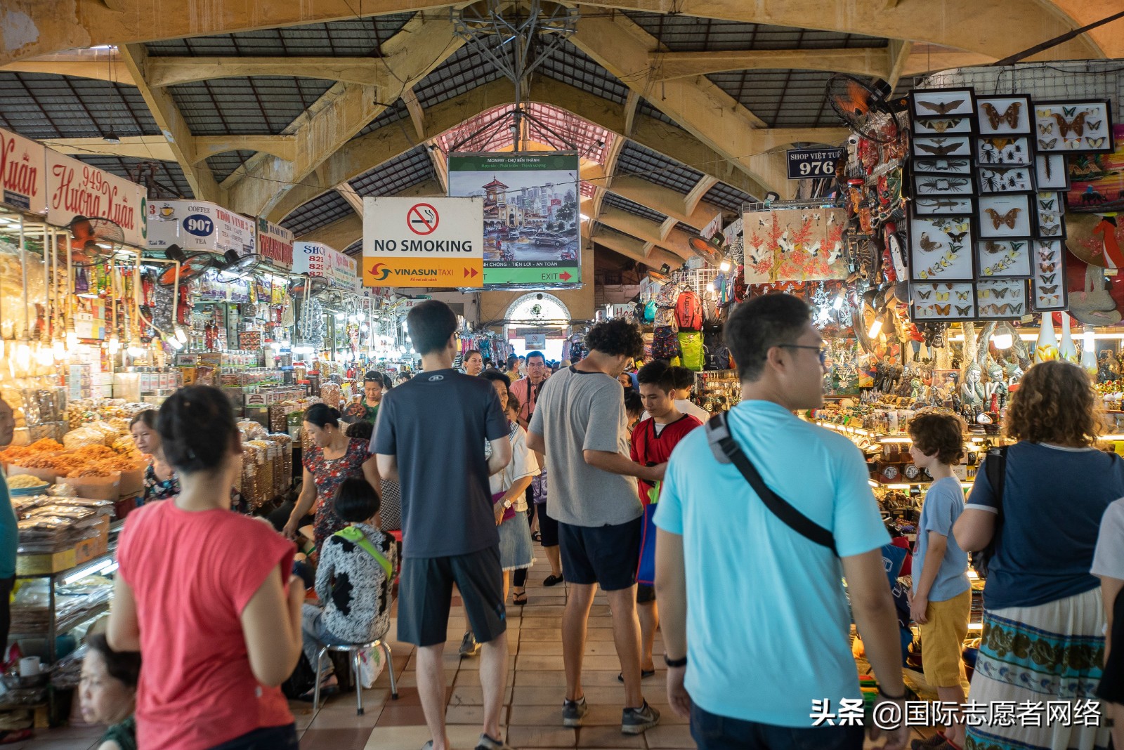 国际义工旅行教学视频,国际义工旅行条件