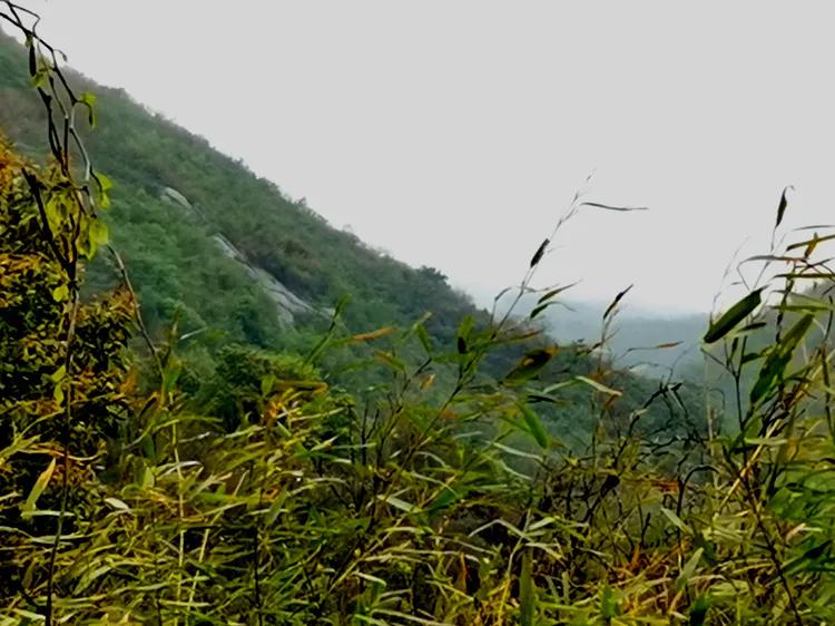 华容县景点排名,华容风景排名