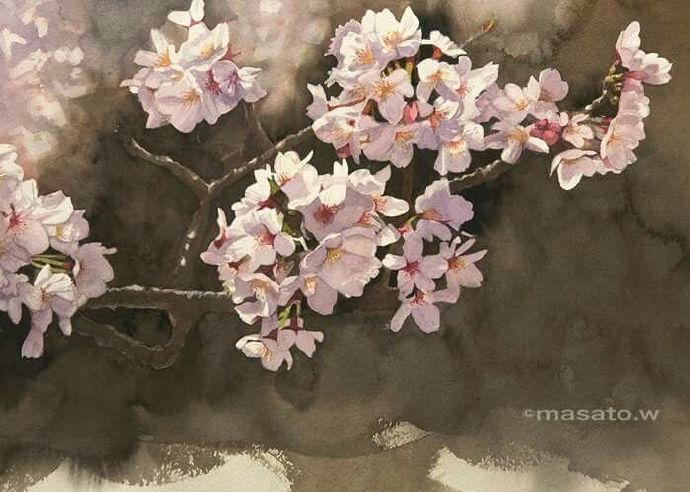 水彩樱花之境,日本水彩樱花