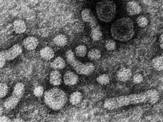 大三阳小三阳指的是哪里,大三阳和小三阳怎么来的