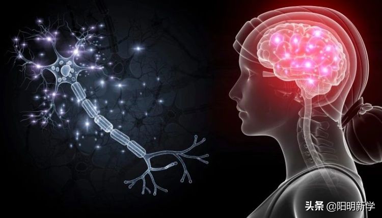 脑机接口技术人类的福音,脑机接口技术或开启未来战争