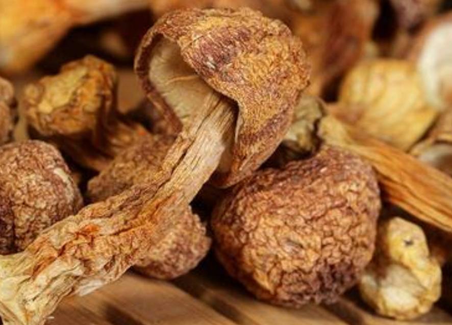 27岁女孩CIN3级病变，医生：几个处理方法，堪称教科书