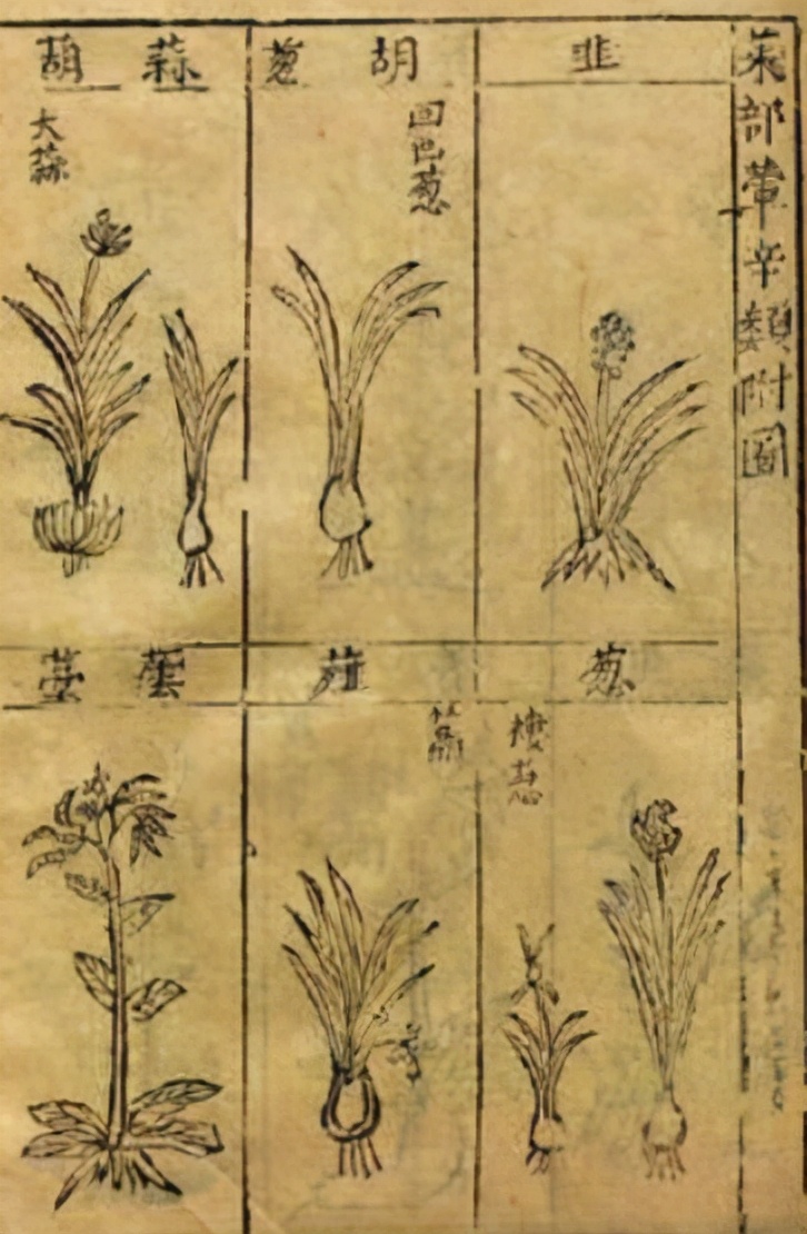 做一个有学问的吃货,做一个有文化的吃货