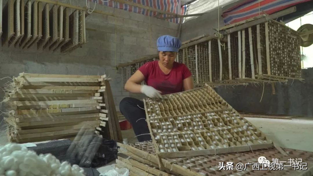 娉楁按鑴辫传鏀诲潥,娴庡畞娉楁按鎵惰传