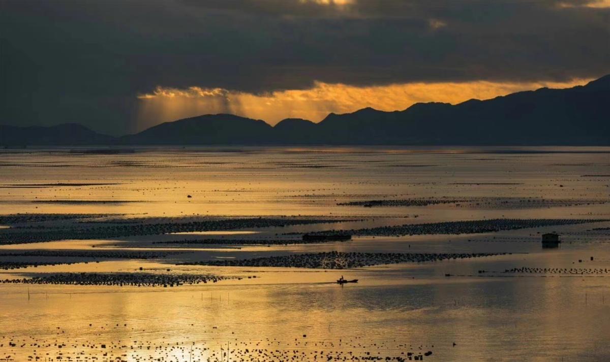 自卑的人不愿意做这三种事,怎么克服自卑和半途而废的心理