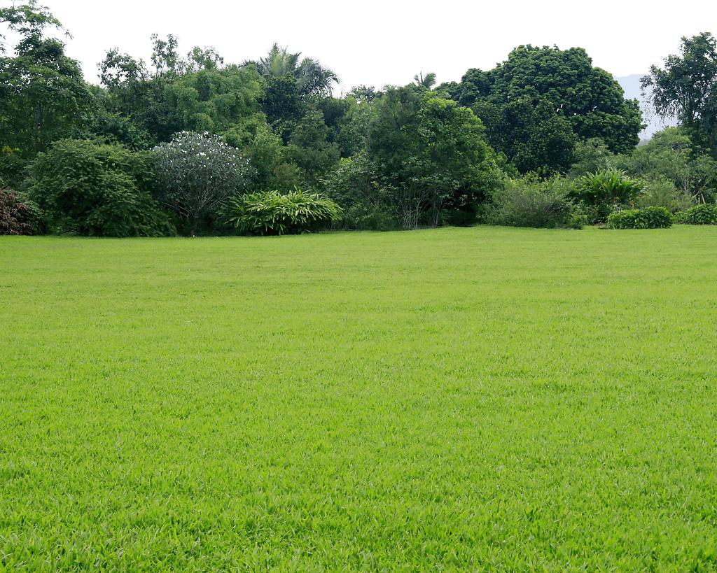 一岁宝宝不会用吸管奶瓶怎么办,一岁多宝宝不会用吸管怎么办