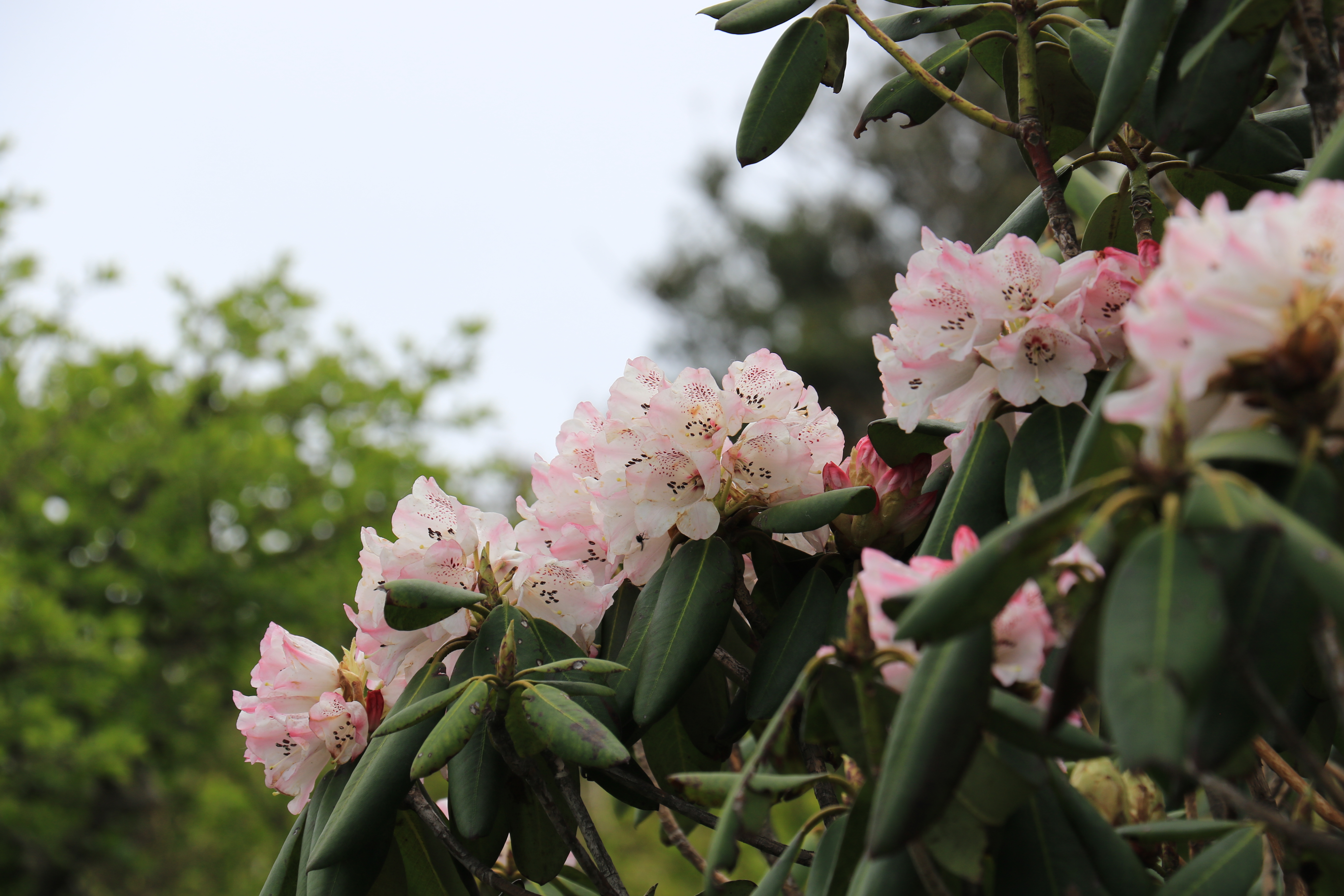 找个keyi治愈心情不好的地方.......