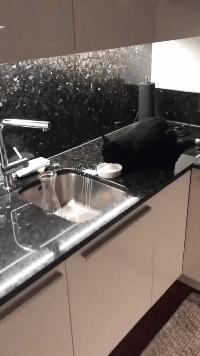 可爱搞笑图片可直接保存,搞笑图片现在的年轻妹纸真会玩啊