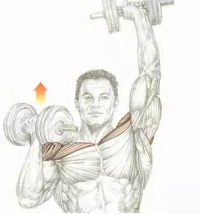 十款便宜又好用的家居好物 (家居必买十大好物)