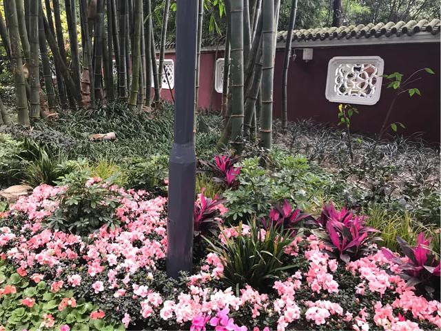 成都望江楼公园简介,成都望江楼公园要门票吗